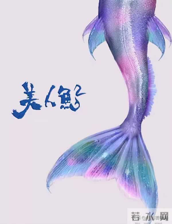 《美人鱼2》制作8年无果！6亿投资打水漂，周星驰成最大受害者