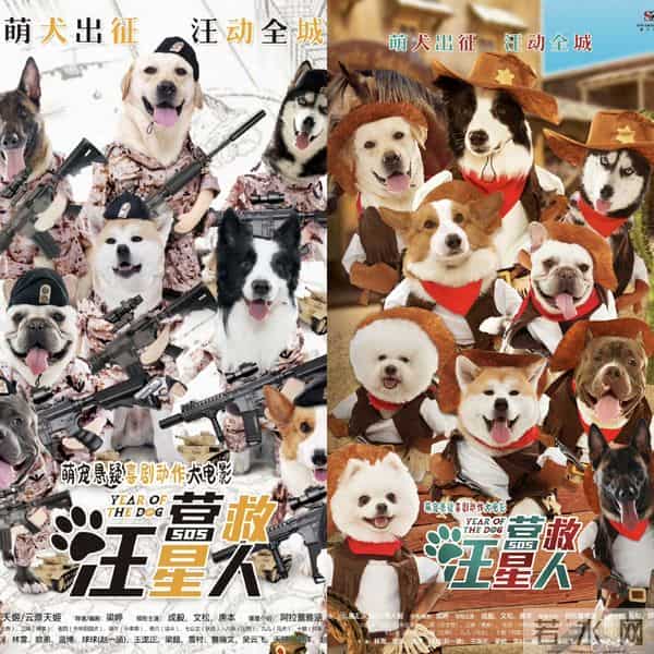 番位突升+10亿豪赌？8年旧片《营救汪星人》重映成毅粉丝集体抵制