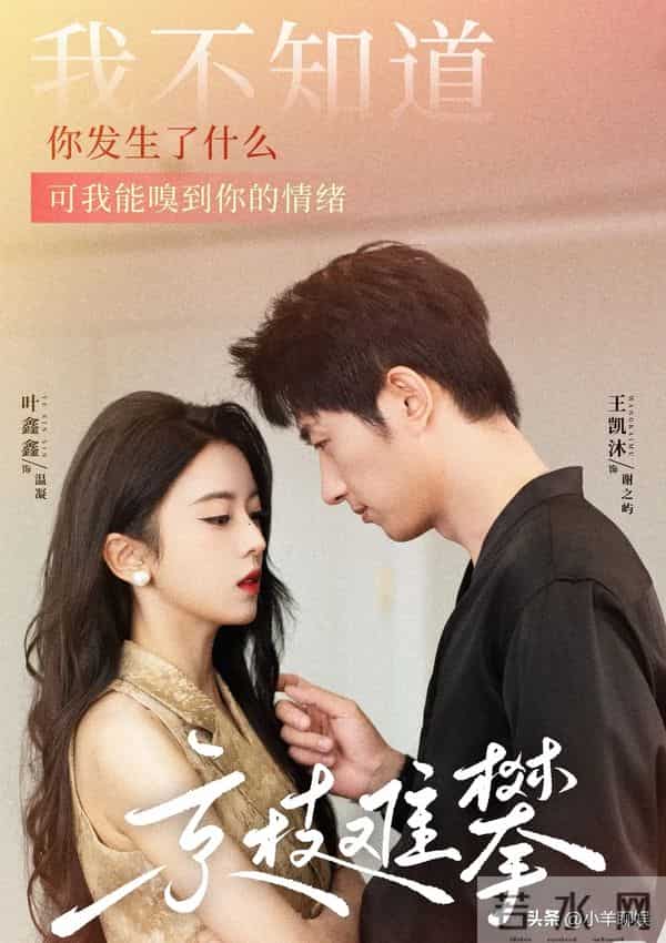 新晋古装女神！搭档刘萧旭，与王凯沐组cp，叶鑫鑫究竟有何魅力？