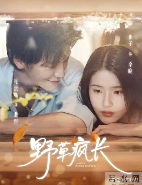 红果全网有效播放量最高的10部短剧，第一名1.18亿强势登顶榜首！