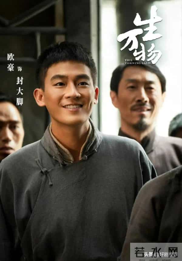 11月21日央视一套，央视八套以及卫视电视剧排播