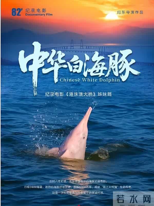王一博《探索新境2》11·28开播-电影《不该停止的追问》定档11·21-《中华白海豚》12·12上映……