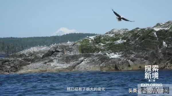 你们是否低估了《探索新境》？