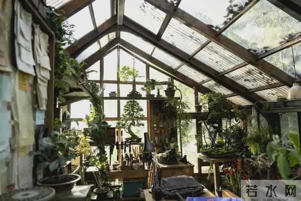 杀对手抢工作?《无可奈何》道破关键,中产的体面竟如此易碎