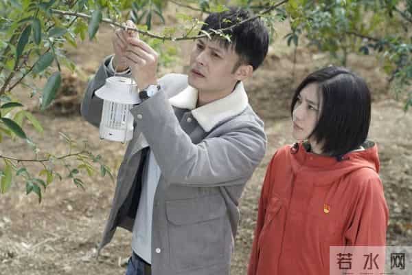 《白桔》一部有泥土芬芳与时代回响的民族电影