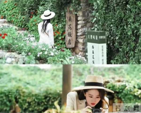 刘亦菲《近海新生》2025开播,这次要撕碎“花瓶”标签?