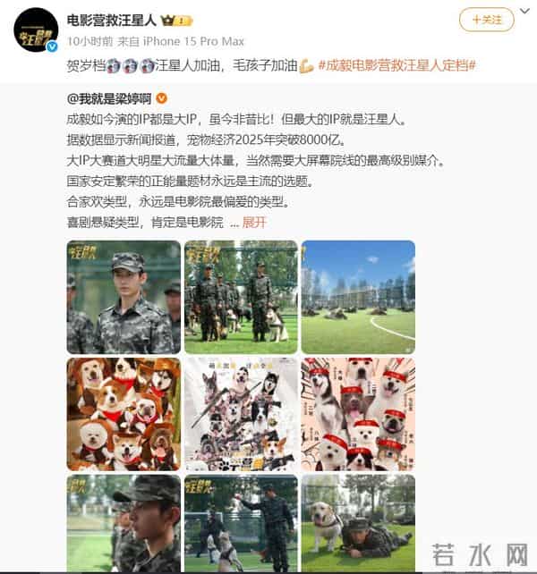 《营救汪星人》将上映，成毅要扛10亿票房？当年五番现在成主演