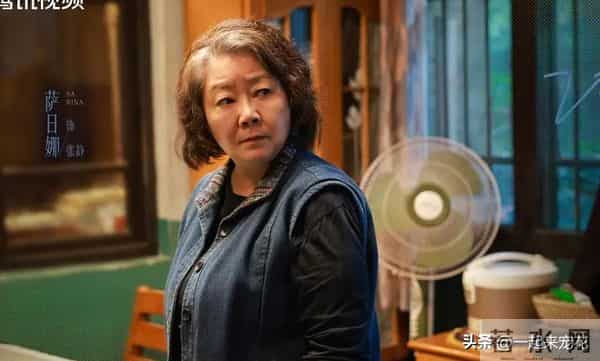 4部即将开播的电视剧，马思纯、赵今麦各有一部，你看好哪部？