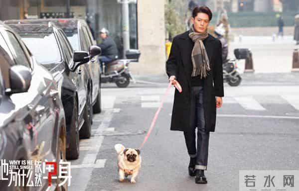 霍建华出手就无敌，《他为什么依然单身》开播即爆，我超爱