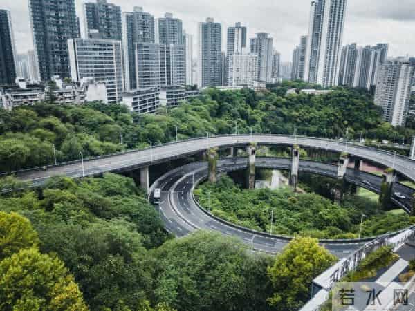 《疯狂动物城2》能否成功？