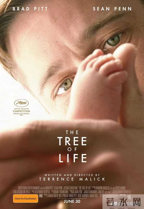 看完这9部电影，你的审美和气质将大幅提升