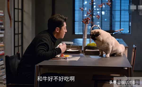 女配别选太惊艳!霍建华新剧安沺一出场,朱珠前12集白铺垫了