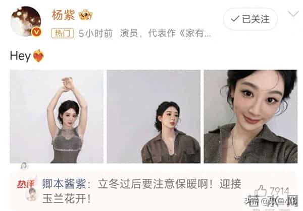 杨紫、成毅、任嘉伦、彭小苒、赵今麦、卢靖姗