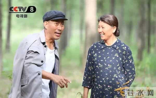 总局收视榜:《四喜》退居第二,《他为什么依然单身》排第六