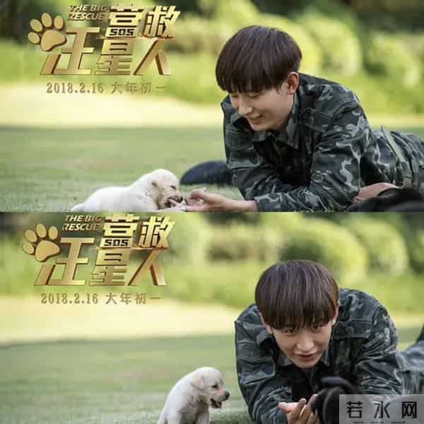 番位突升+10亿豪赌？8年旧片《营救汪星人》重映成毅粉丝集体抵制