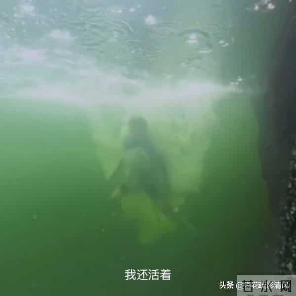 你们是否低估了《探索新境》？