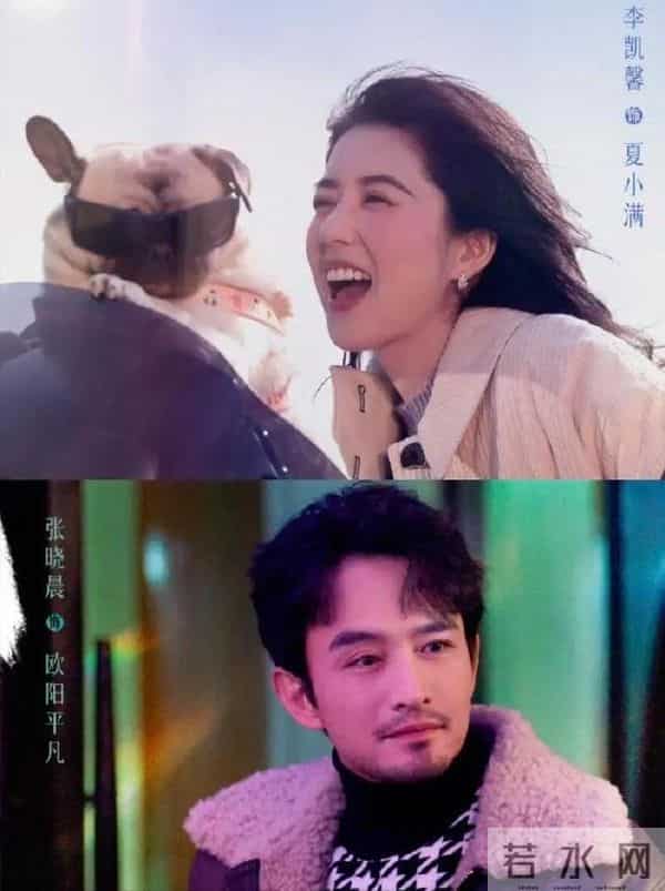 全是反转!《他为什么依然单身》16集大结局，是看过最意外结局