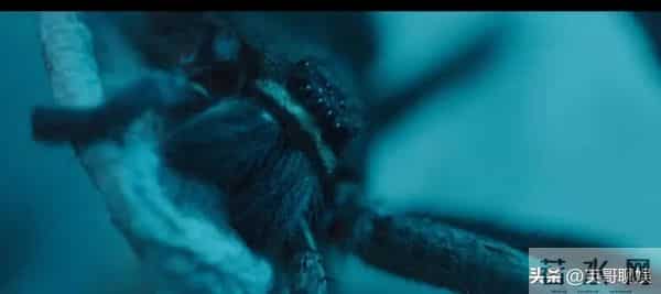 腾讯独播王炸剧定档！迪丽热巴和陈星旭联手杀怪，预约破400万