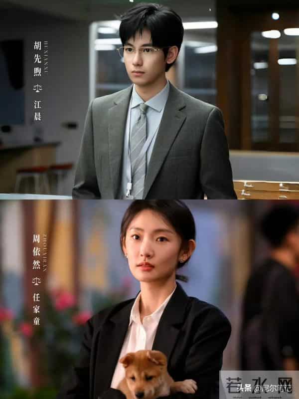 央视开播!24集都市职场剧来袭,看完阵容之后,我想说:此剧要爆