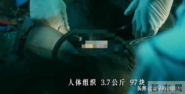 24集悬疑剧，张译、丁勇岱领衔，有好剧追了