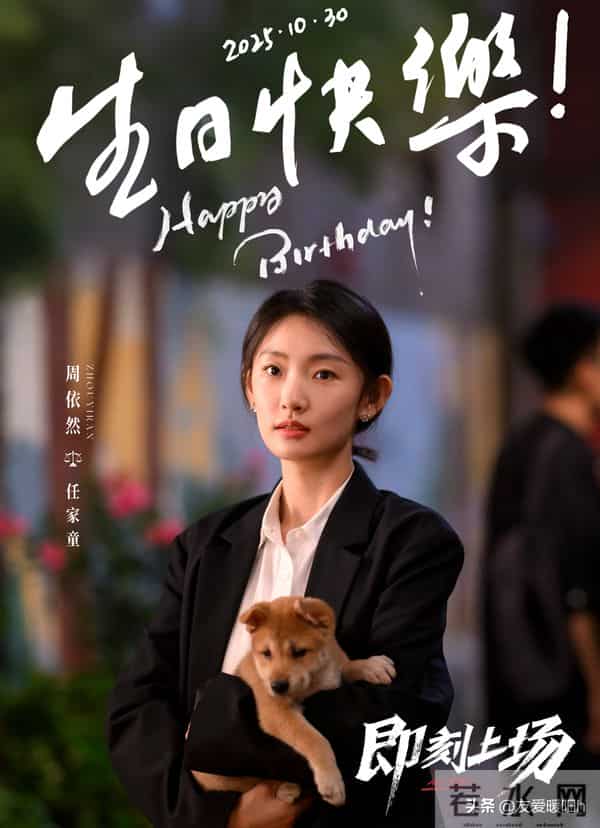 央八开播！24集的职场生存大剧来袭，我想说：这才是真正的职场