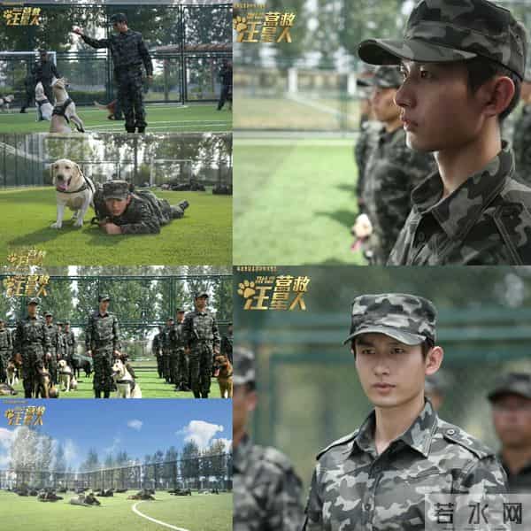 番位突升+10亿豪赌？8年旧片《营救汪星人》重映成毅粉丝集体抵制