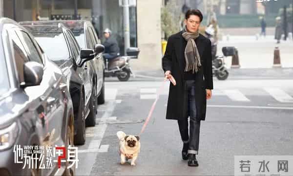 霍建华、朱珠主演《他为什么依然单身》,男主真得太癫了!