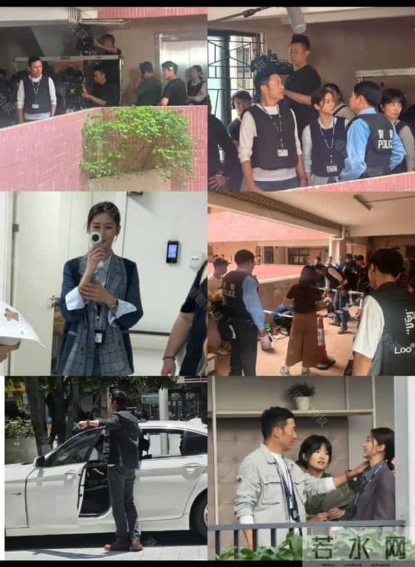 12集十大真实奇案，《重案解密》凭“敢拍+真实”封神