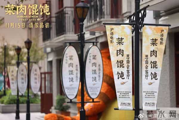 专卖江浙沪老年人，进居委会和菜市场宣传，《菜肉馄饨》票房爆了