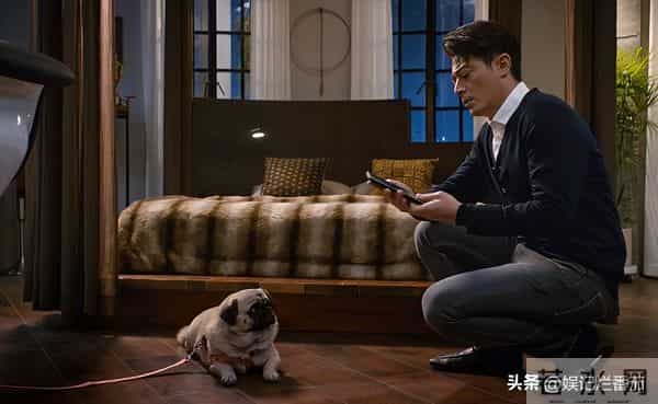 女配别选太惊艳!霍建华新剧安沺一出场,朱珠前12集白铺垫了