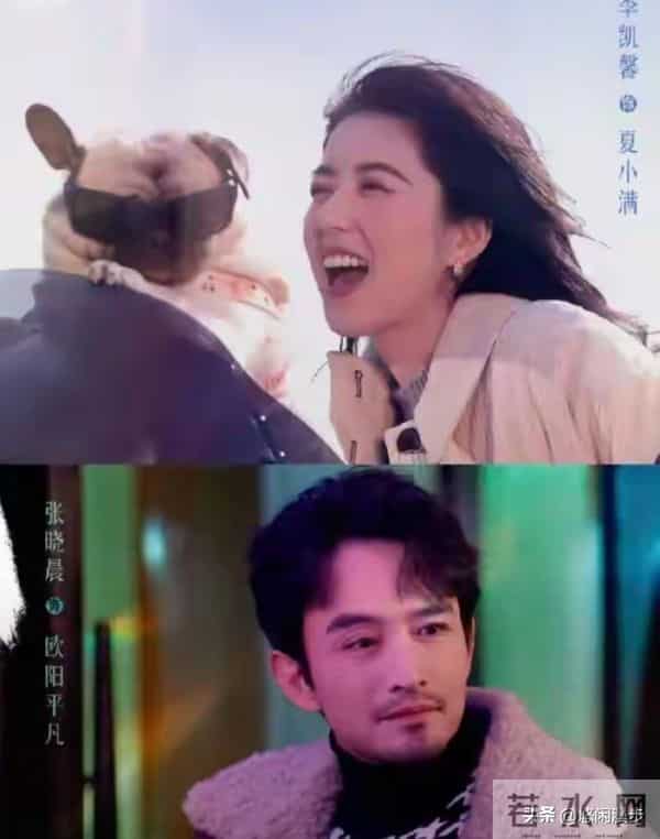 9.0分封神!霍建华新剧大结局炸了:求婚被拒,不婚竟比结婚甜