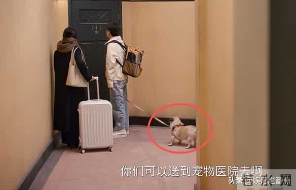 女配别选太惊艳!霍建华新剧安沺一出场,朱珠前12集白铺垫了