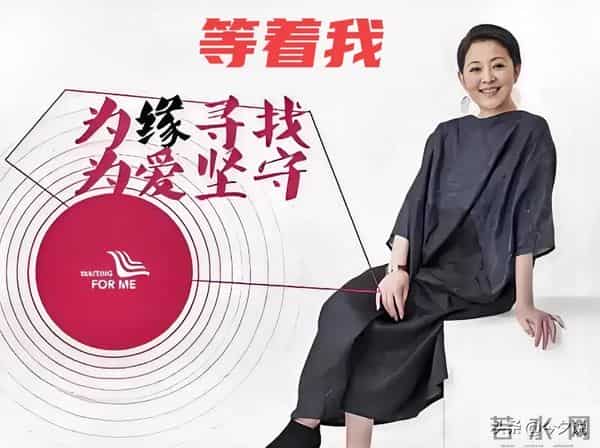 倪萍也没想到,三婚丈夫杨亚洲,凭《沉默的荣耀》给全家争光了!