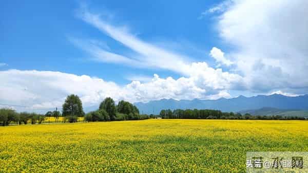 我 49 岁已绝经了,前段时间我和一个比我大五岁的老头子在一起了