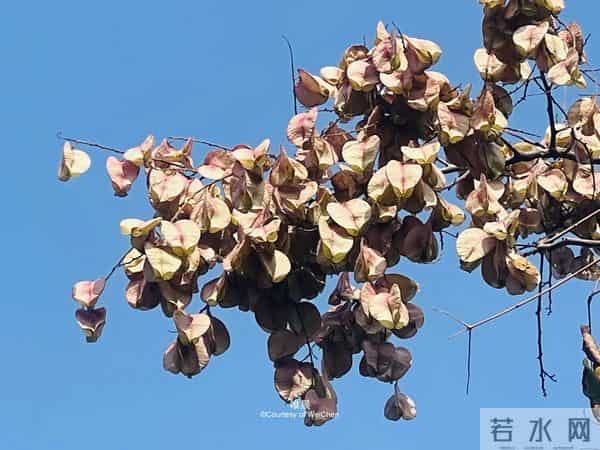 父母走后，兄弟姐妹关系再好，也要隐瞒这3件事，别不在意！