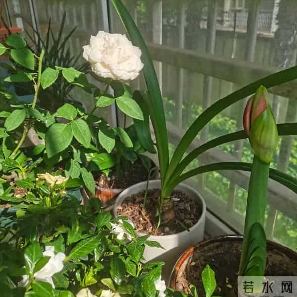 退休后才明白:大部分人都是被自己最亲的人给慢性折磨死