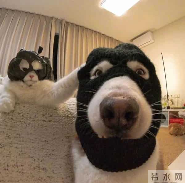 “活人感满满的朋友圈文案 5.0”