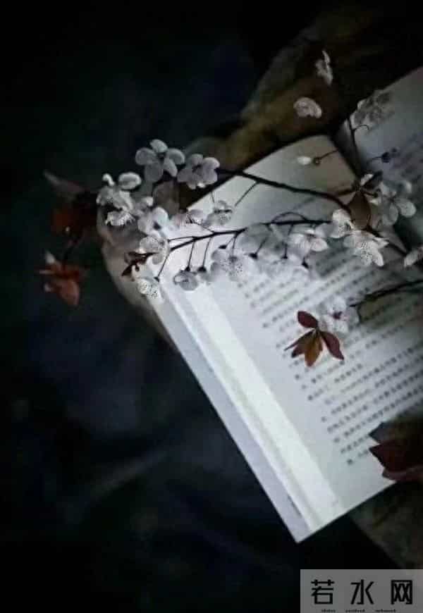 当你活到七十岁的时候,一切就都看开了,每一天都是岁月静好