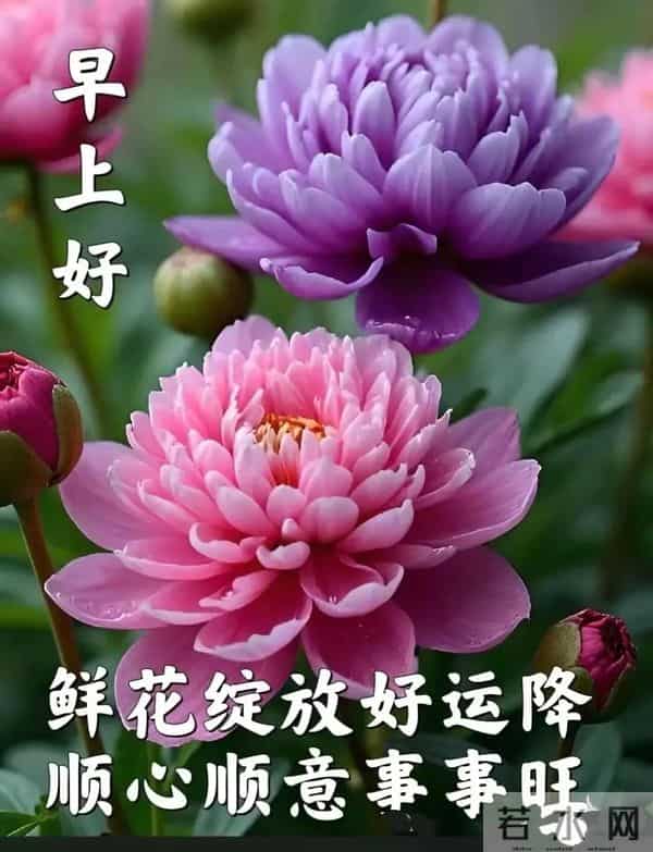 早安呀!生活就像升级打怪,保持积极心态,每一个难关都是勋章!