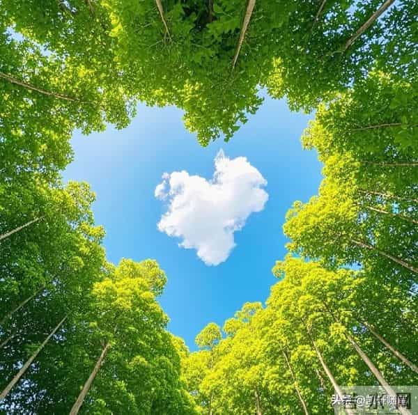 忠告全天下子女：再孝顺，也别为年过70的父母做这4件事