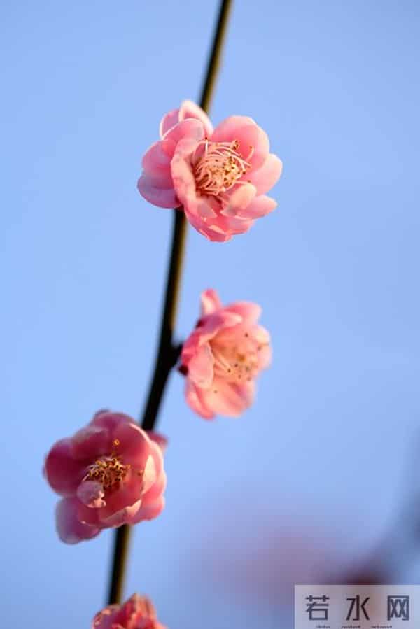 女人想要“越界”，会这样对你