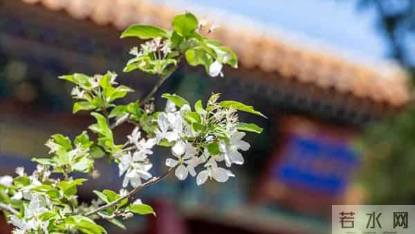 父亲过世老伴不跟我回家,10年后婆婆生病我也不管,老伴却提离婚