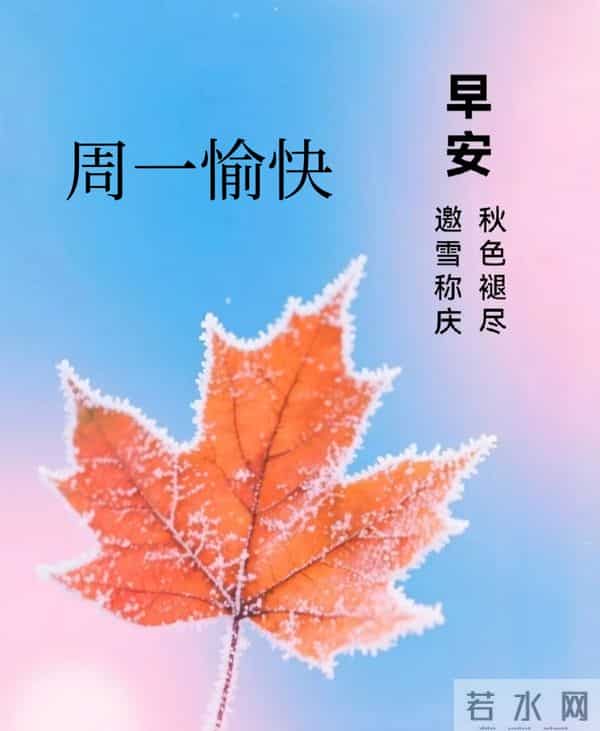 2025年11月24日早上好 早上好温馨问候祝福语 早安精美图片 周一愉快