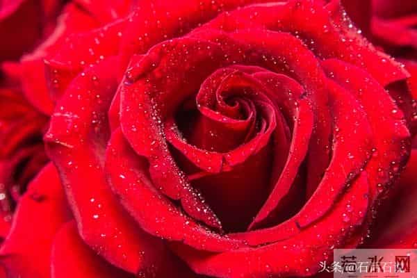 做亲家之前,撕破脸皮也要问清对方3件事,这不叫势力,是真聪明