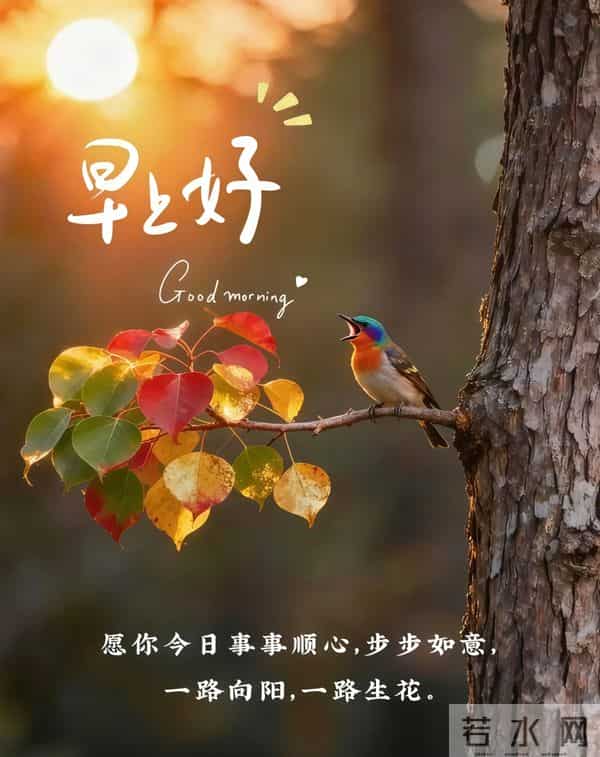 2025年11月24日早上好 早上好温馨问候祝福语 早安精美图片 周一愉快