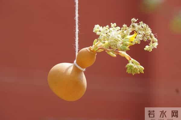 “命里的钱,都有定数”,会不会发财,就看这三处,不是迷信!