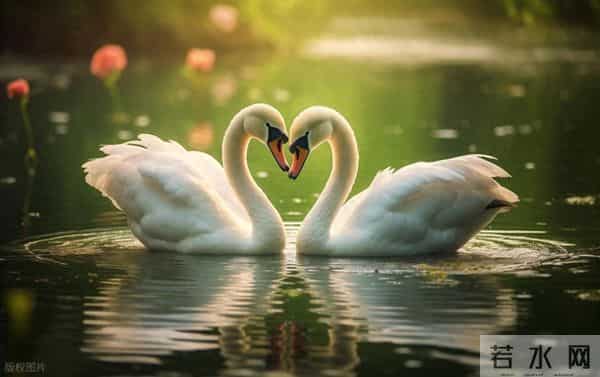 一生的守护,迟到的搀扶