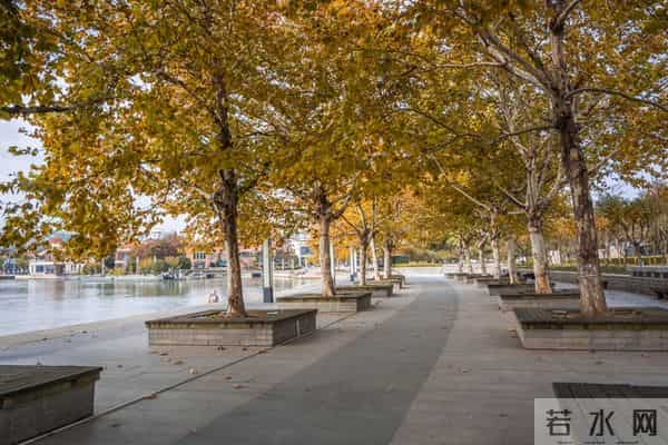 让女人死心塌地的关键：掌握“二八定律”