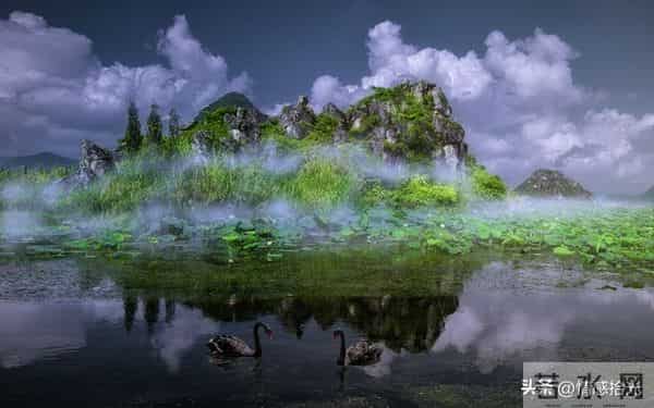 好运真来了，这是天意请签收，勇敢告诉自己：值得被所有美好宠爱