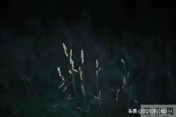 你正在被一股神秘力量默默庇护,这是你积德的福报